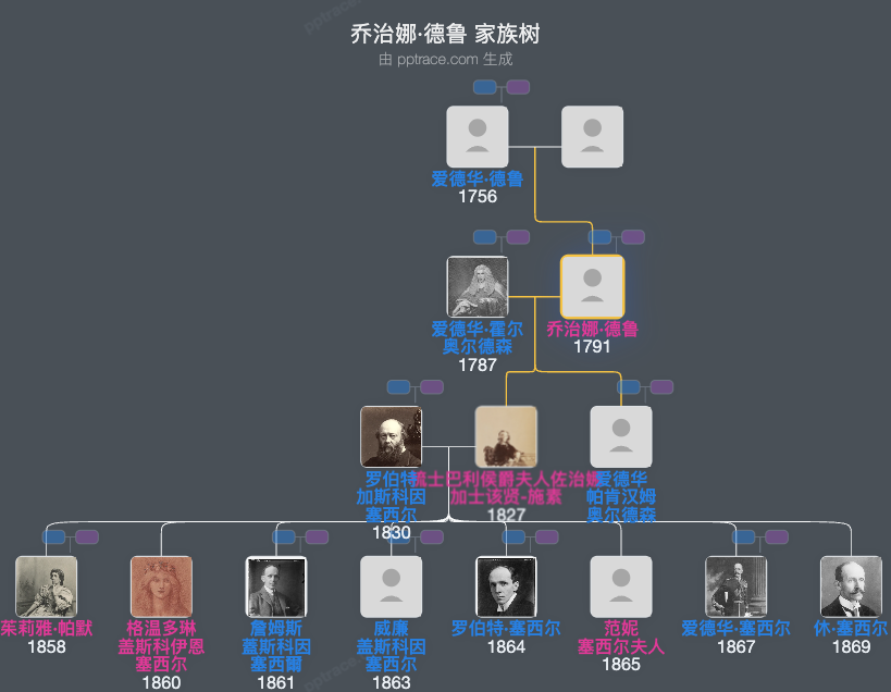 乔治娜·德鲁家族树全览