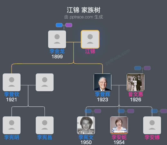 江锦家族树全览