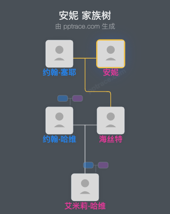 安妮家族树全览