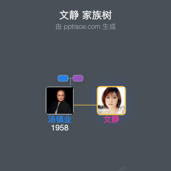 文静 家族树全览