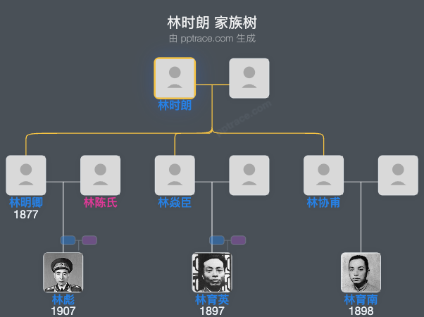 林时朗 家族树全览