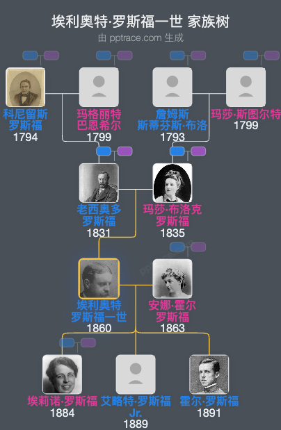 埃利奥特·罗斯福一世家族树全览