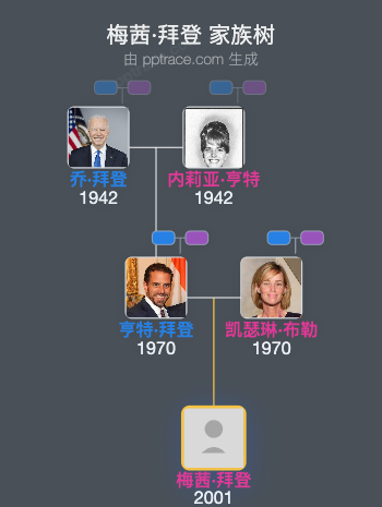 梅茜·拜登家族树全览