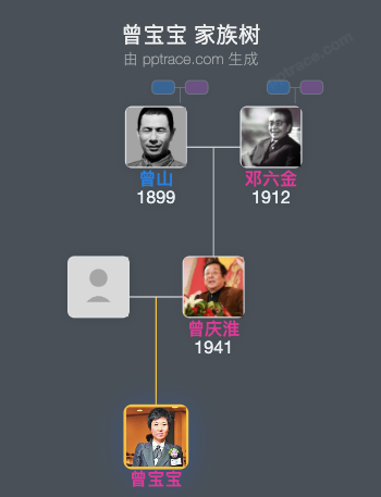 曾宝宝 家族树全览