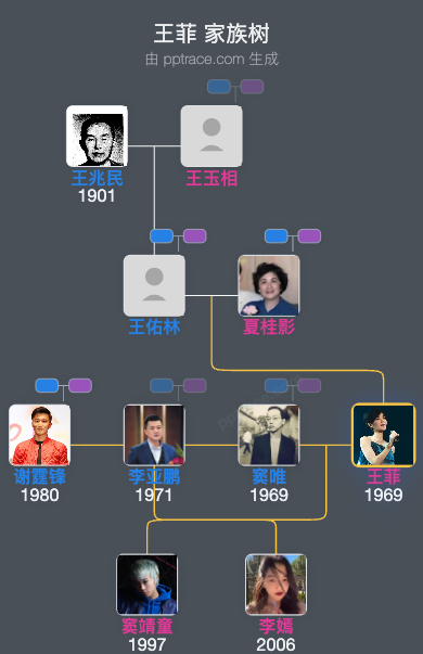 王菲 家族树全览