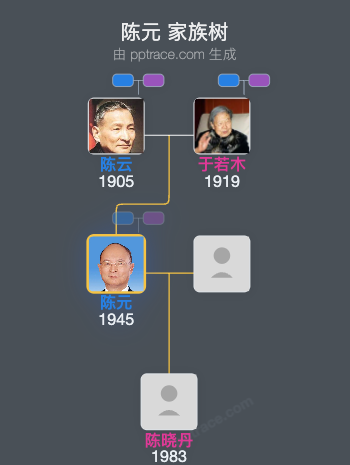陈元 家族树全览