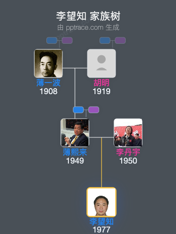 李望知 家族树全览