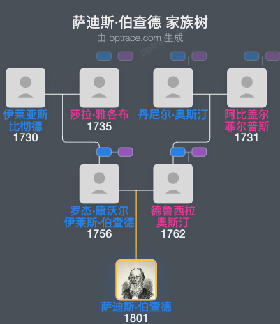 萨迪斯·伯查德家族树全览