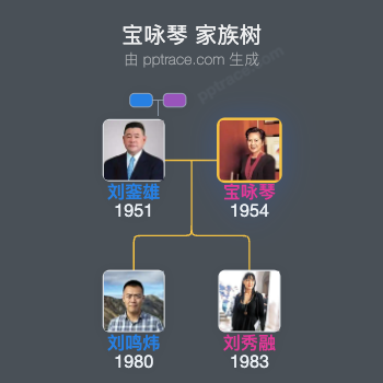 宝咏琴 家族树全览