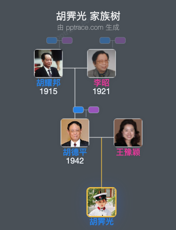 胡霁光 家族树全览