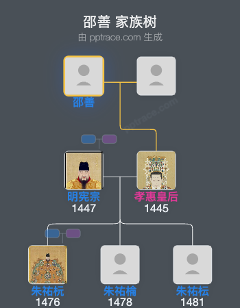 邵善家族树全览