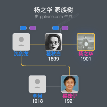 杨之华 家族树全览