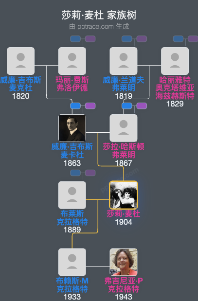 莎莉·麦杜家族树全览