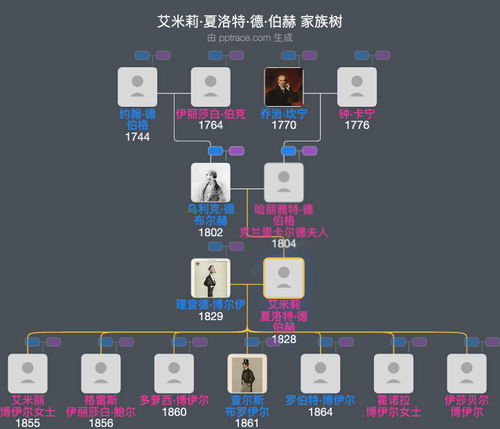 艾米莉·夏洛特·德·伯赫，科克伯爵夫人家族树全览