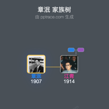 章泯 家族树全览