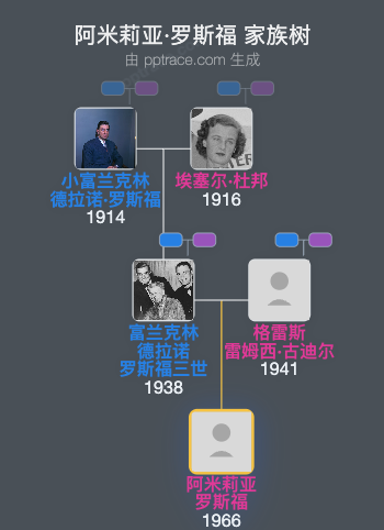 阿米莉亚·罗斯福家族树全览