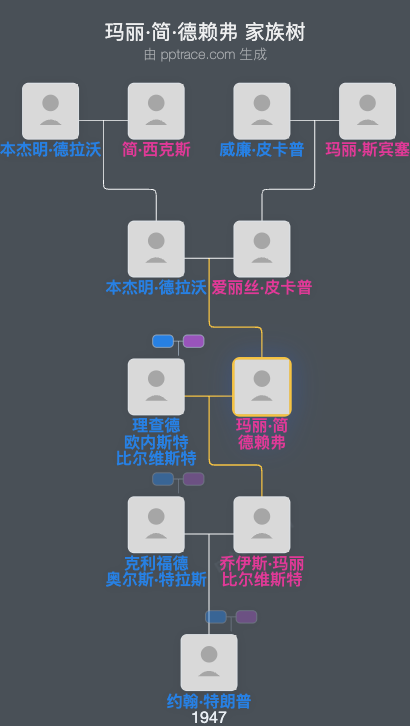 玛丽·简·德赖弗家族树全览
