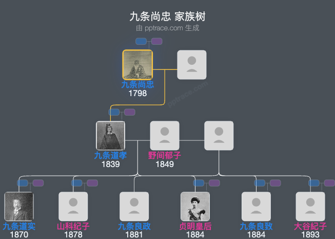 九条尚忠家族树全览