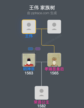 王伟家族树全览