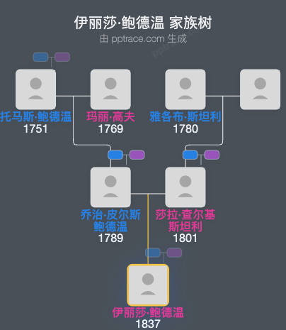 伊丽莎·鲍德温家族树全览