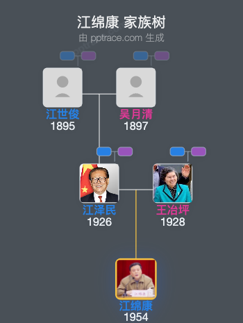 江绵康 家族树全览