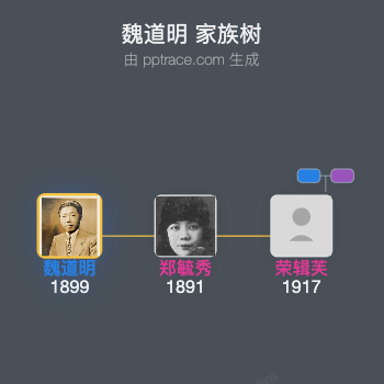 魏道明 家族树全览