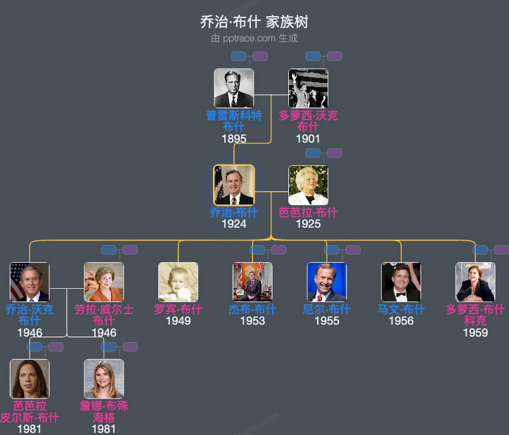 乔治·布什 家族树全览