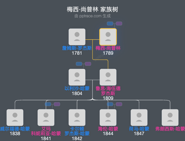 梅西·尚普林家族树全览