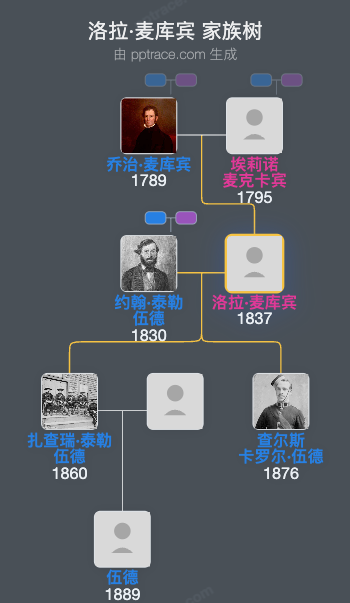 洛拉·麦库宾家族树全览