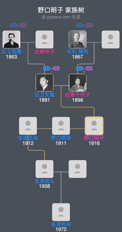 野口明子家族树全览