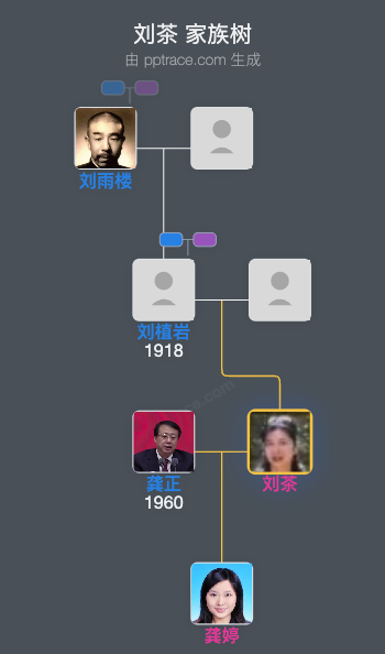 刘茶 家族树全览