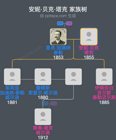 安妮·贝克·塔克家族树全览