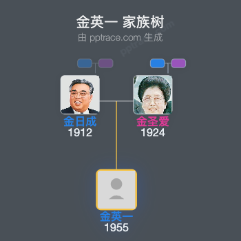 金英一 家族树全览