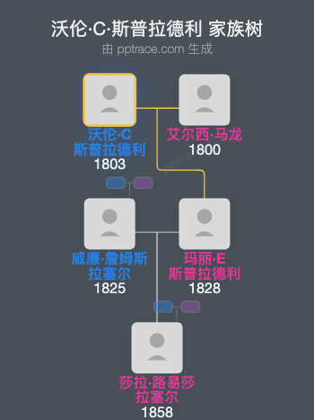 沃伦·C·斯普拉德利家族树全览