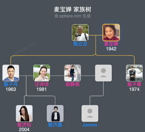 麦宝婵 家族树全览