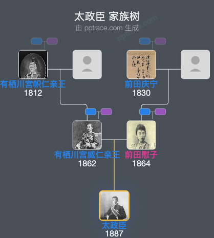 太政臣家族树全览