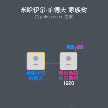 米哈伊尔·帕德夫家族树全览