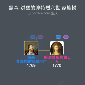 黑森-洪堡的腓特烈六世家族树全览