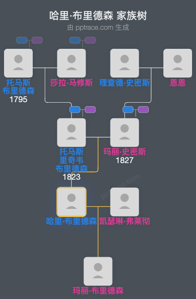 哈里·布里德森家族树全览