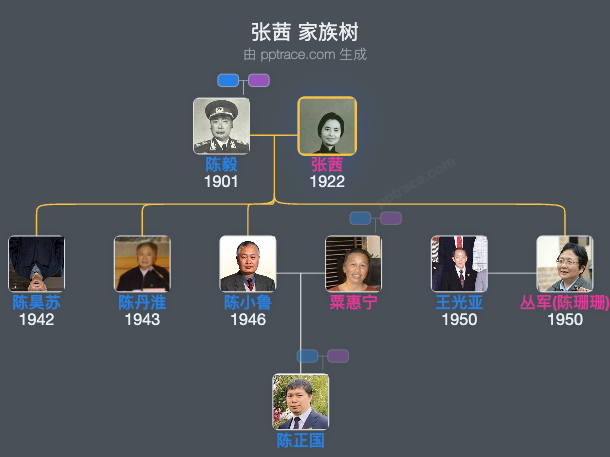 张茜 家族树全览