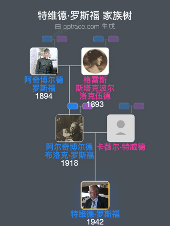 特维德·罗斯福家族树全览