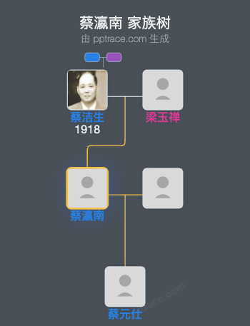 蔡瀛南家族树全览