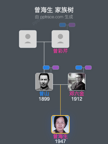 曾海生 家族树全览