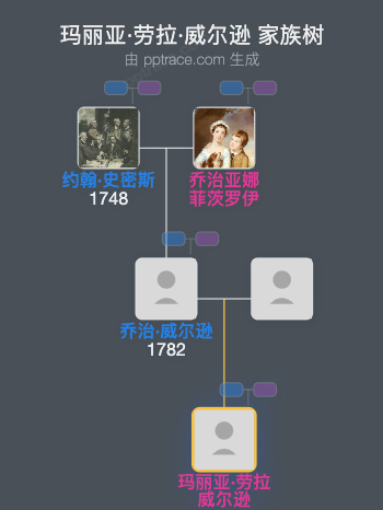 玛丽亚·劳拉·威尔逊家族树全览