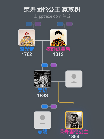 荣寿固伦公主家族树全览