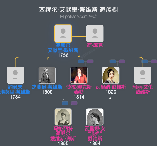 塞缪尔·艾默里·戴维斯家族树全览