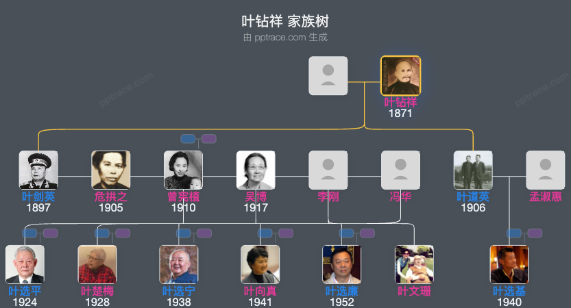 叶钻祥 家族树全览