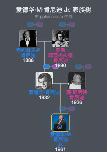 爱德华·M·肯尼迪 Jr.家族树全览