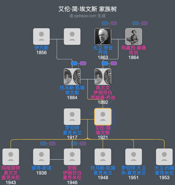 艾伦·简·埃文斯家族树全览
