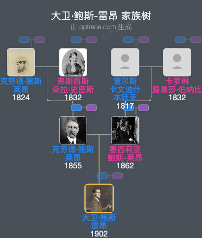 大卫·鲍斯-雷昂家族树全览